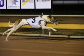 The Meadows Preview: Will Fernando Succumb to a Spell?