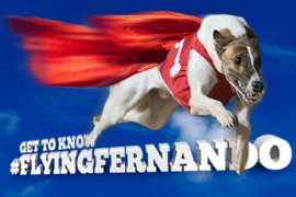 Get to Know #FlyingFernando