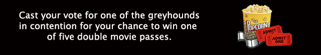 Greyhound Racing competition July 2015