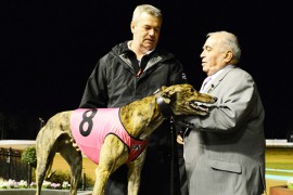 Cranbourne Puppy Classic Preview: Bahens Enjoy the Ride