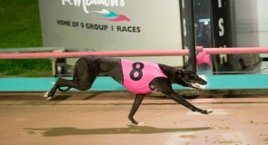 Metro Wrap: Potential Stars Dominate