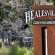 Healesville Cup: All Runners Analysed