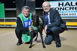 Ken Lay defends greyhound racing amid calls to have it shut down