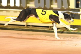 Metro Wrap: Max Cuts Loose