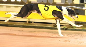 Metro Wrap: Max Cuts Loose