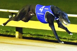 Smart Missile launches into Speed Stardom
