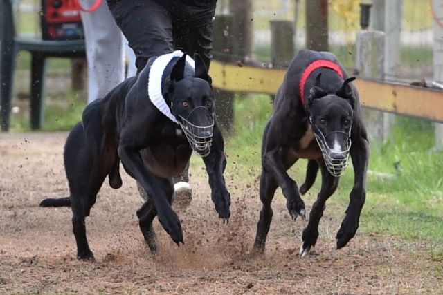 Video The Pathway To Greatness Grv