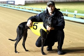 Group 1 Vic Peters Preview: Blazin’ Bomber Flying Flag for Big V