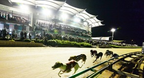 Metro Wrap: Topguns Highlight Top Week in Melbourne Town