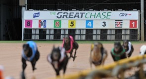 TAB Great Chase Grand Final: On the Edge of Greatness