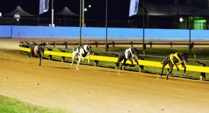 SANDOWN PARK PREVIEW: Four of the Best