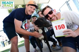 Buyers abuzz as ‘Unknown’ factor engulfs 2015 Ready 2 Race Sales