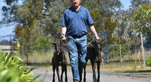 Finding a Winner on TAB Melbourne Cup Night