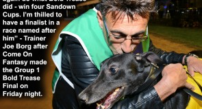 Recapping a Massive Week of Metro Greyhound Racing