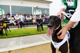 Top 20 R2R Success Stories from 2013/14