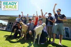 VIDEO: 2015 Ready 2 Race Sales – Auction Day
