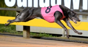 Sandown Park Preview: Give me a Spell
