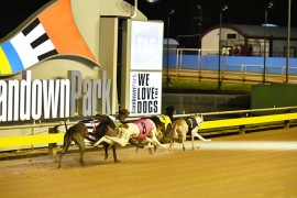 SANDOWN PARK PREVIEW: Still class despite Warragul Cup heats