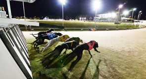 MEADOWS PREVIEW: GRV to the City Finals