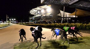 THE MEADOWS PREVIEW: Eren’s toughest test