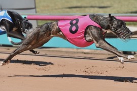 Unlawful Entry Breaks Second Track Record