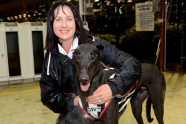 Kennel feature double as Cup Night Sprint goes to Both Sides Now