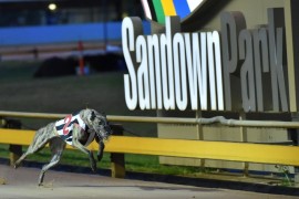 Sandown to race earlier this winter