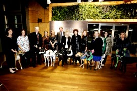 VIDEO: GAP takes pride of place at Victorian Greyhound Awards