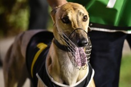 First-round invites sent out for 2016 Stayers and Sprinters TOPGUN