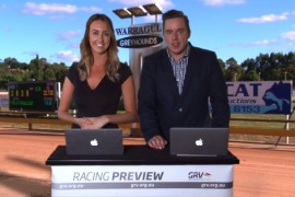 VIDEO: 2017 Warragul Cup Preview