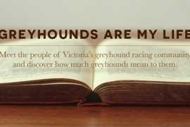 Greyhounds are My Life