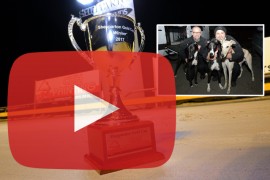 2017 CKH Painting Shepparton Cup heat trainer insights