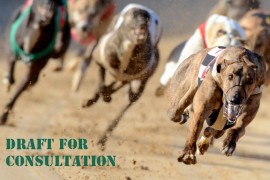Feedback required on proposed prize money & breeders’ payments