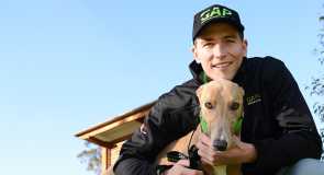 Greyhound Adoption Day races to the finish line at Sandown