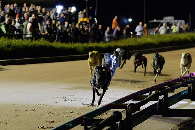 Up Hill Jill leads her rivals in the home straight, and top of page, on the dais with Rose and David Geall.