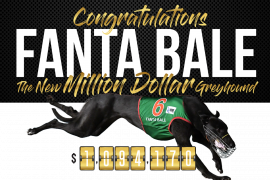 VIDEO: Million Dollar greyhound Fanta Bale