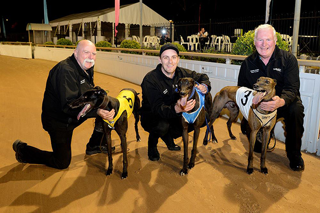 Topgun Stayers placegetters from left - Fanta Bale (handler Peter Riley), Bogie Bekim (trainer Ben Rawlings) and Ring The Bell (Gerry O'Keeffe).