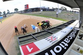 The Inside Word – 2018 Traralgon Cup Heats