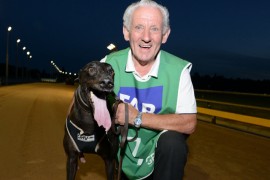 Aston Miley retired to breeding barn