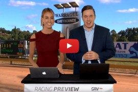 2018 TAB Warragul Cup Preview