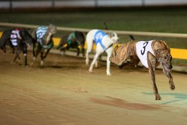 Last chance to comment on draft Penalty Guidelines