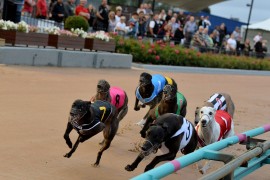 The Inside Word – 2018 Australian Cup Heats