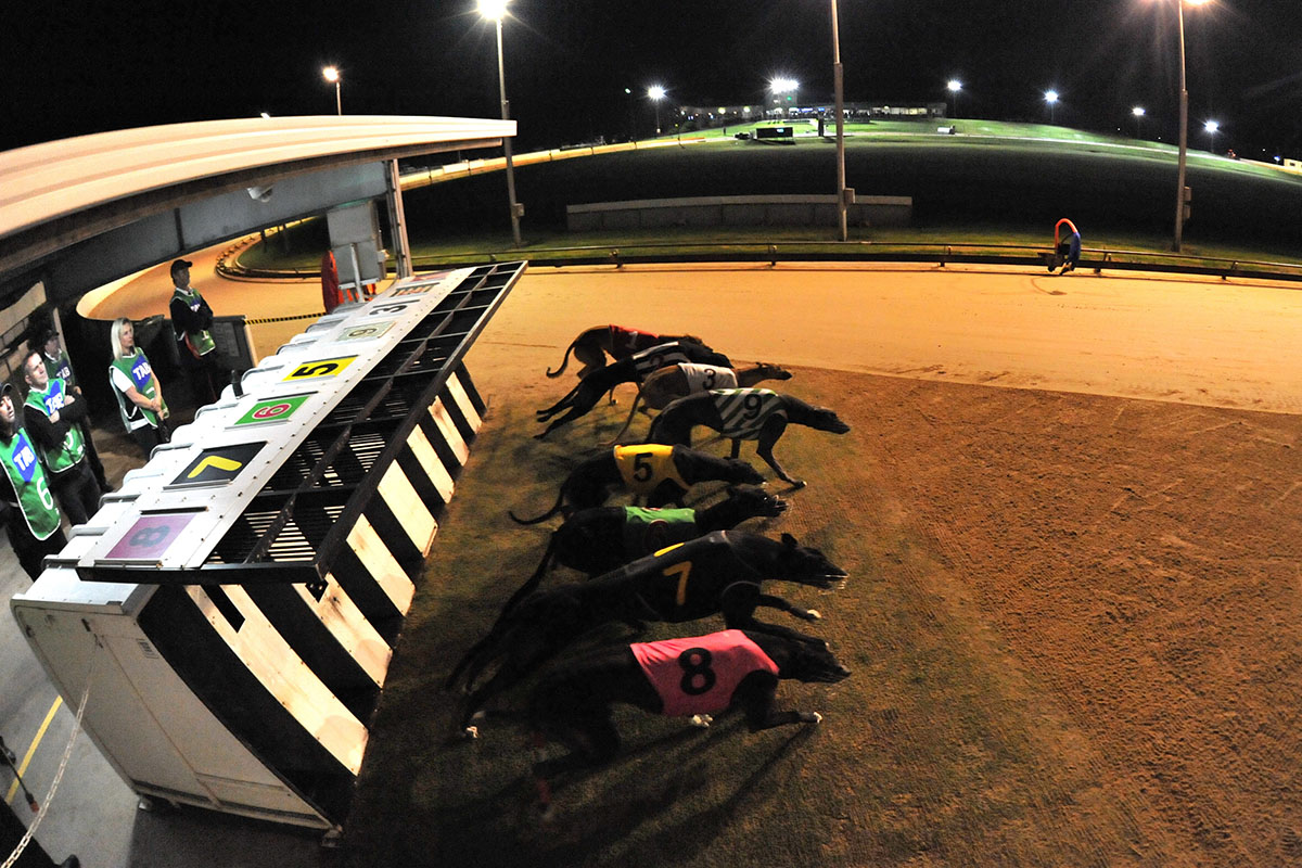 2018 Warrnambool Cup Heats - Race 8