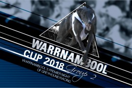 2018 Warrnambool Cup draws elite field for Wednesday night’s final