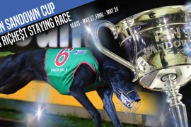 RSN Sandown Cup headlines a trio of Group 1 greyhound racing at Sandown