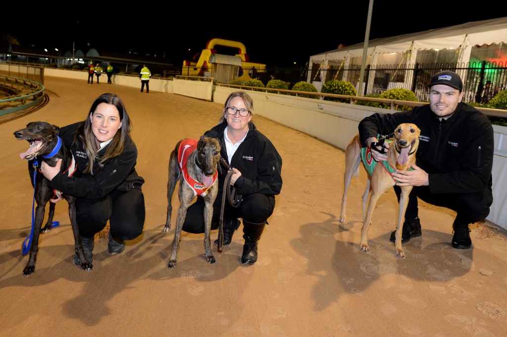 Placegetters (from left) Barooga Brett (with trainer Brooke Ennis), Dyna Patty (Andrea Dailly) and Orson Allen (handler Ed Burrett) after the Maturity Classic.