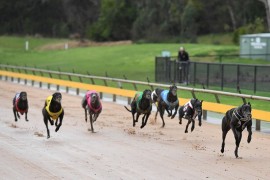 Local hoping to strike in Healesville Cup heats