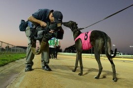 Guess who’s back tonight at Cranbourne?