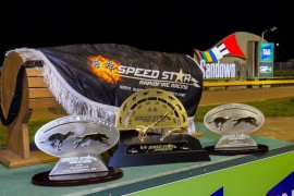 Speed Star VII – Event guide