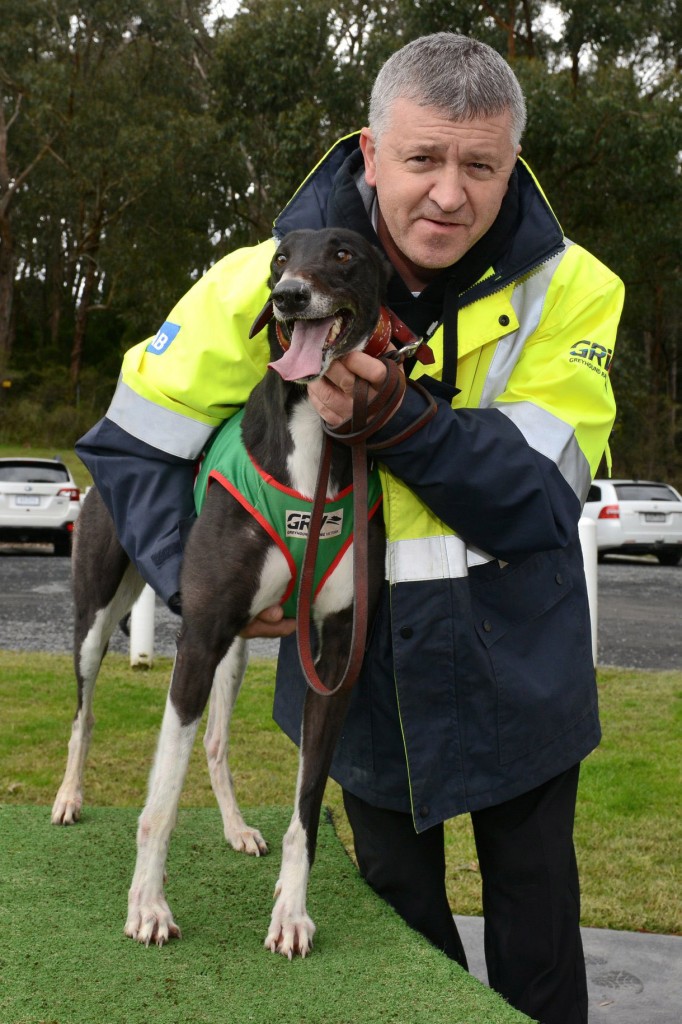 Hot Jean with trainer John Barbara after winner her Healesville Cup heat (top of page) in 19.02sec (best